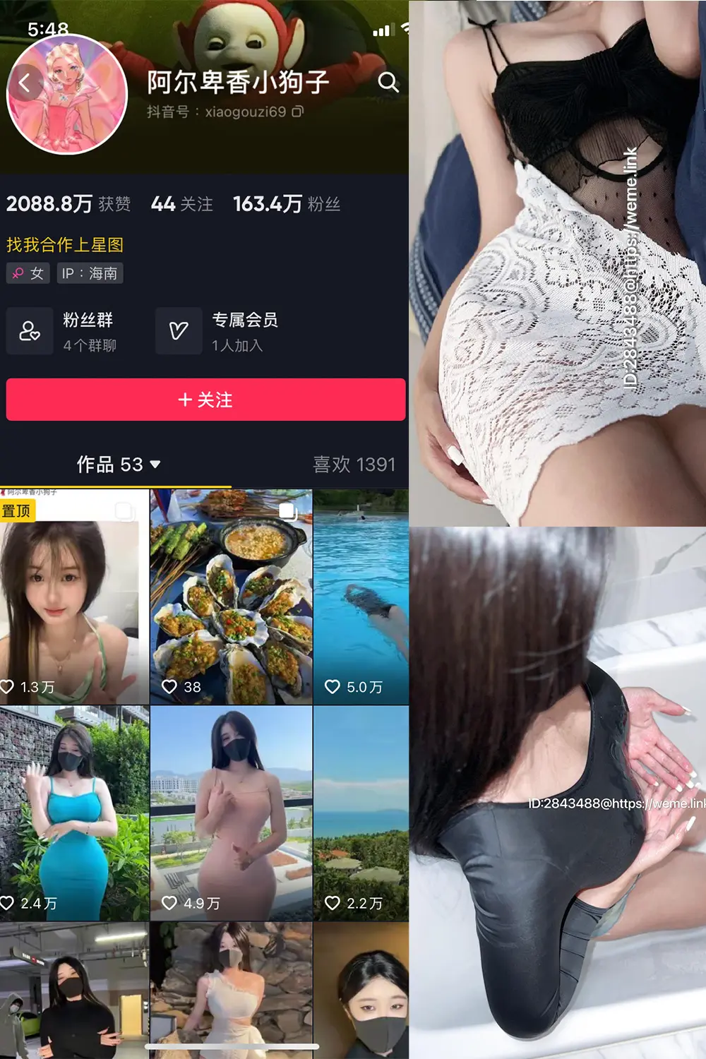 抖音 阿尔卑香小狗子 微密圈 NO.011期 [36P1V]最新至：2023.7.6-微密部落