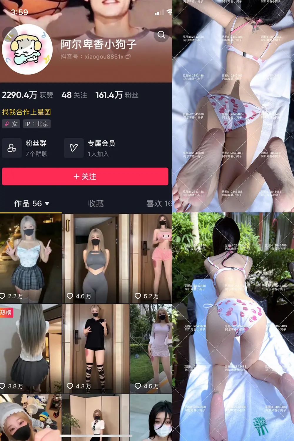 抖音 阿尔卑香小狗子 微密圈 NO.060期 [17P]最新至：2025.2.8-微密部落