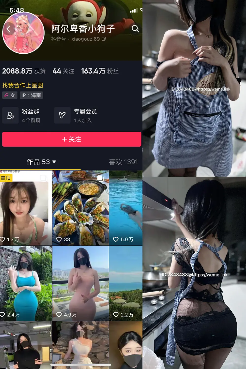 抖音 阿尔卑香小狗子 微密圈 NO.009期 [37P]最新至：2023.6.16-微密部落