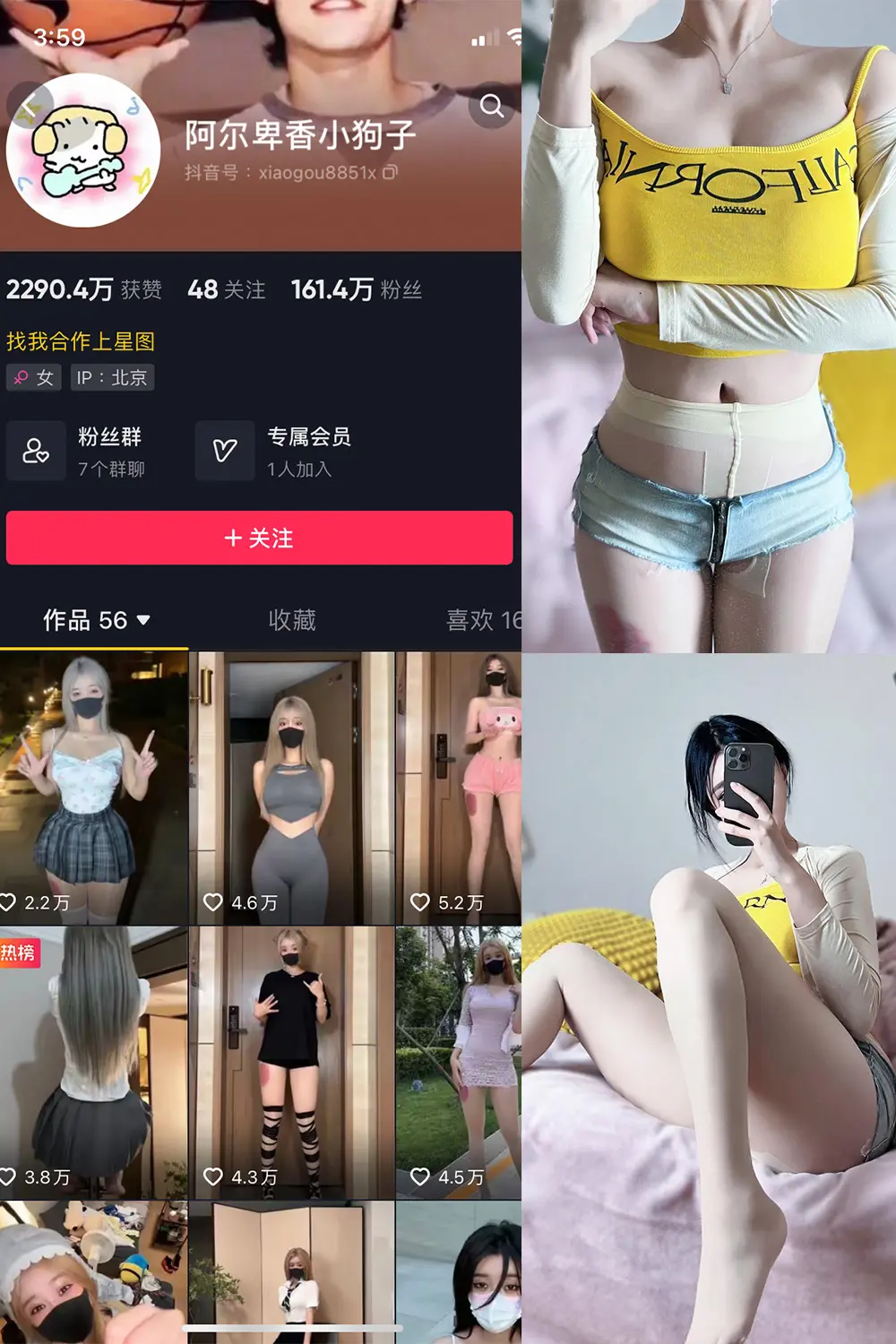 抖音 阿尔卑香小狗子 微密圈 NO.032期 [22P]-微密部落