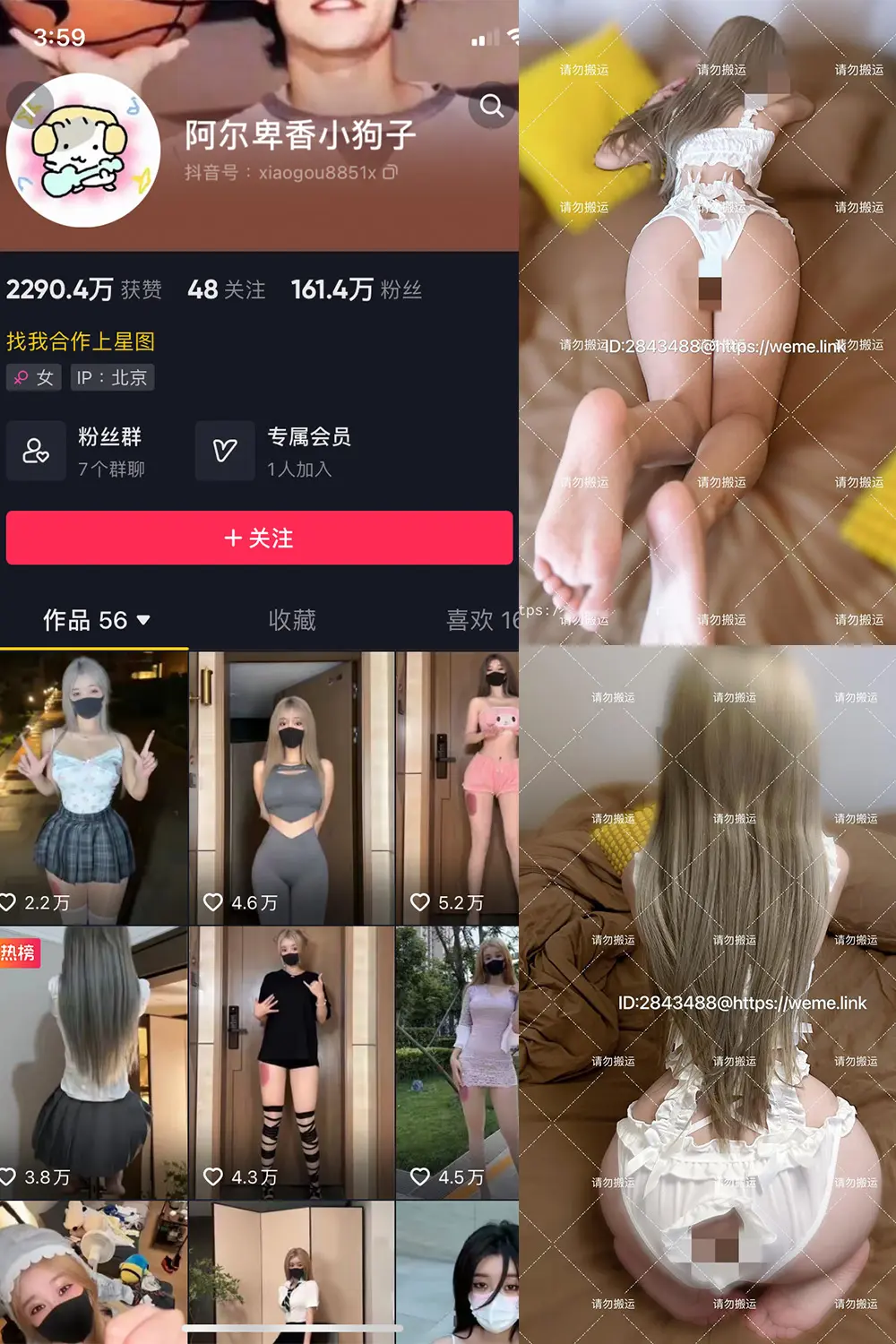 抖音 阿尔卑香小狗子 微密圈 NO.018期 [16P1V]最新至：2023.8.14-微密部落