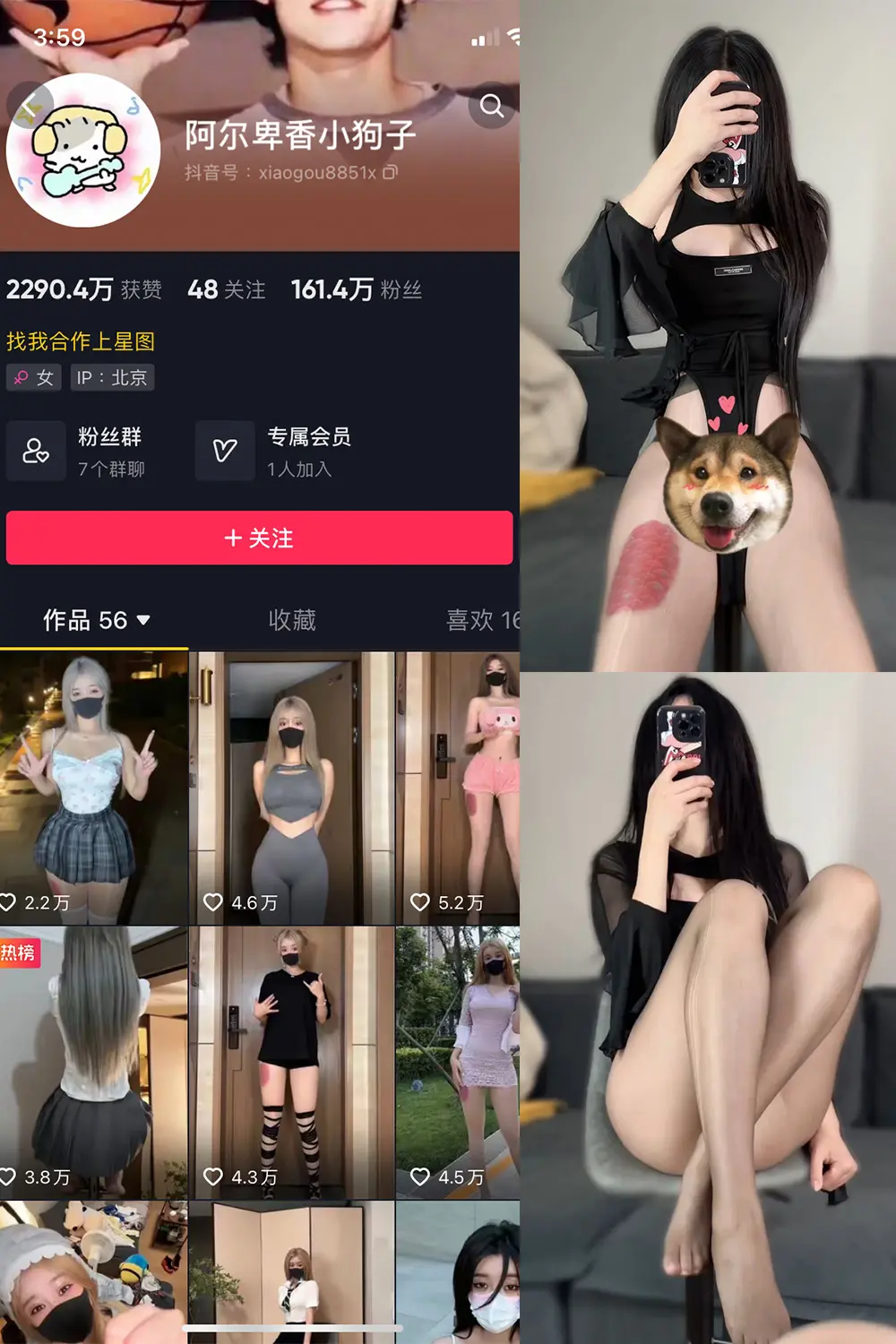 抖音 阿尔卑香小狗子 微密圈 NO.026期 [8P1V]最新至：2023.9.27-微密部落