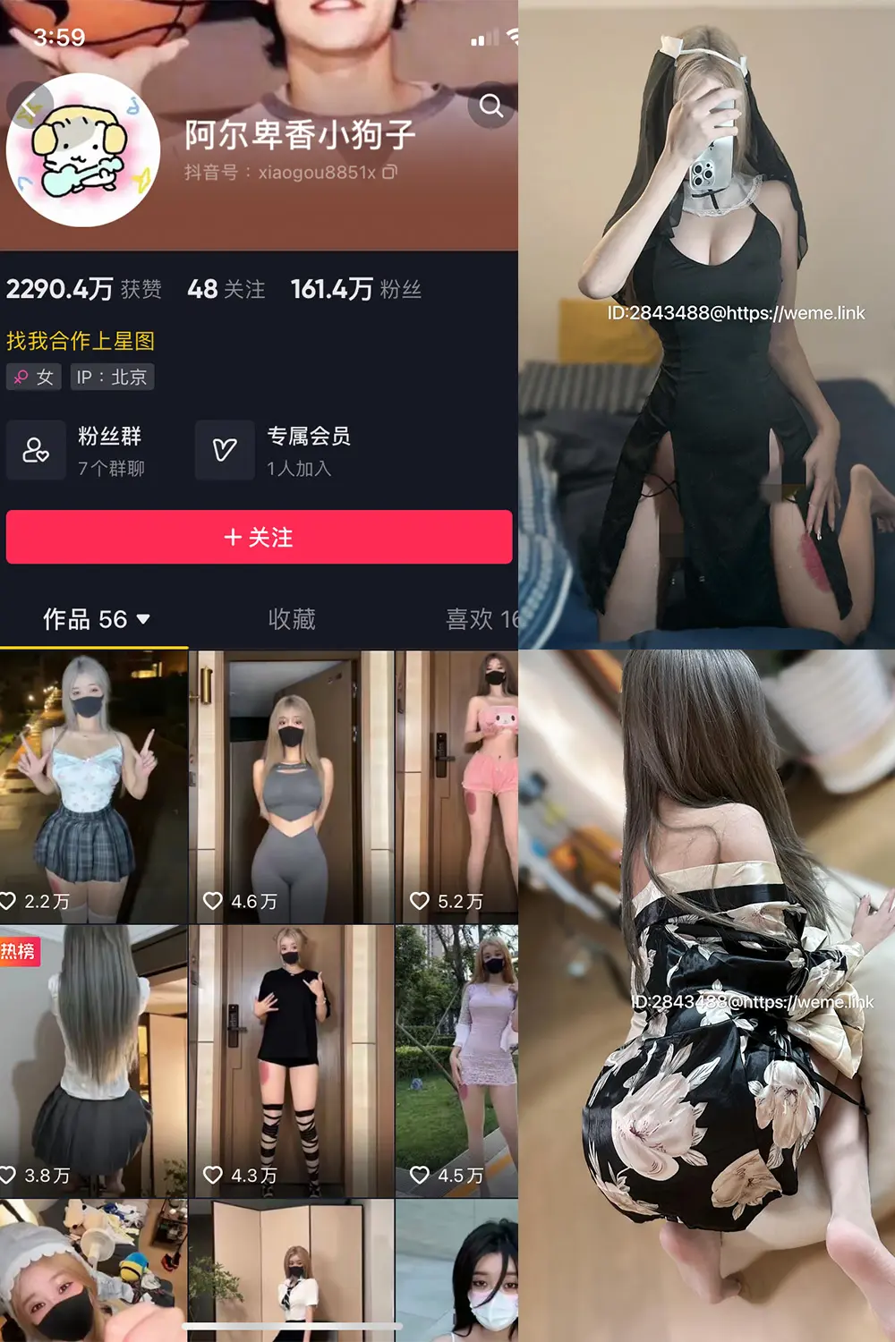 抖音 阿尔卑香小狗子 微密圈 NO.014期 [54P2V]-微密部落