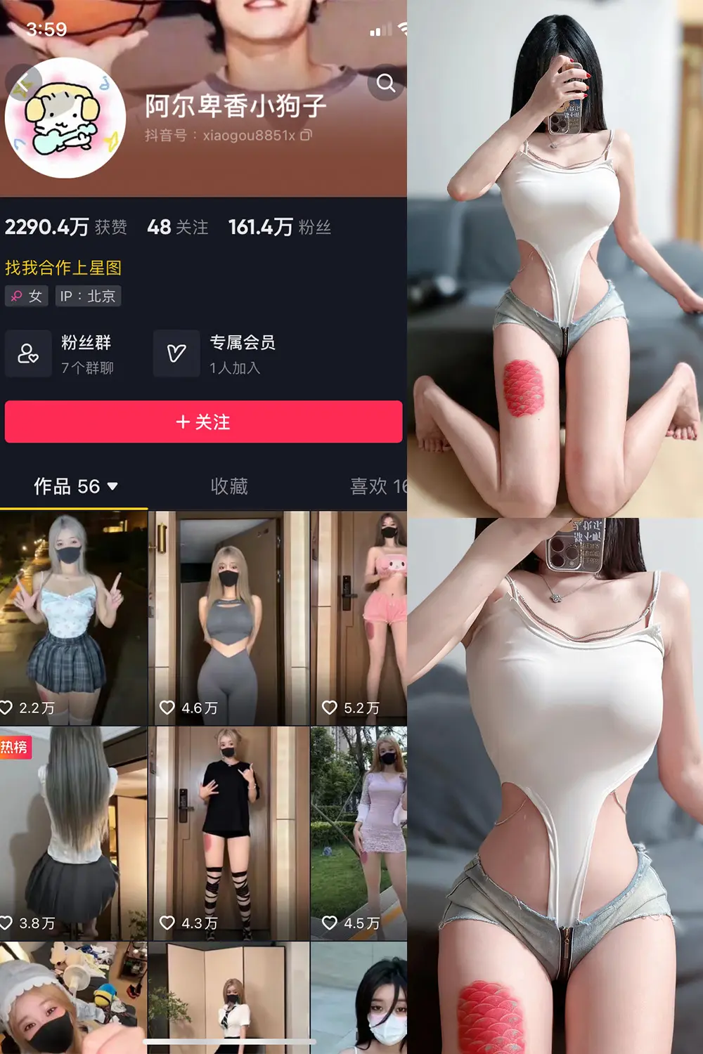 抖音 阿尔卑香小狗子 微密圈 NO.020期 [17P]最新至：2023.8.23-微密部落