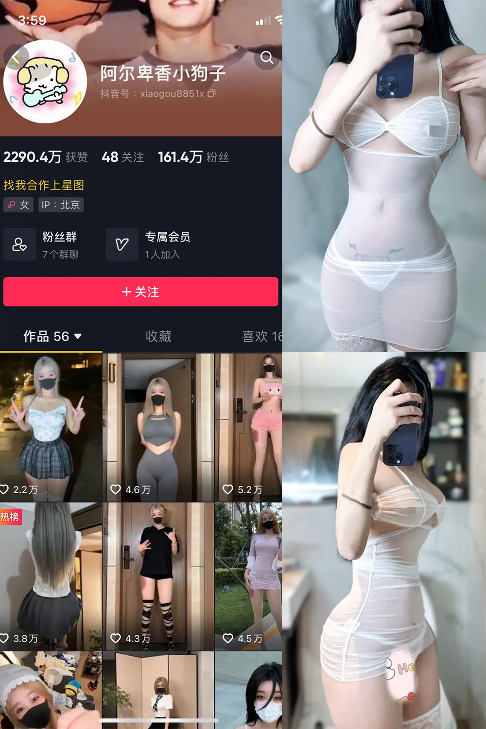 抖音 阿尔卑香小狗子 微密圈 NO.028期 [33P]最新至：2023.10.1-微密部落