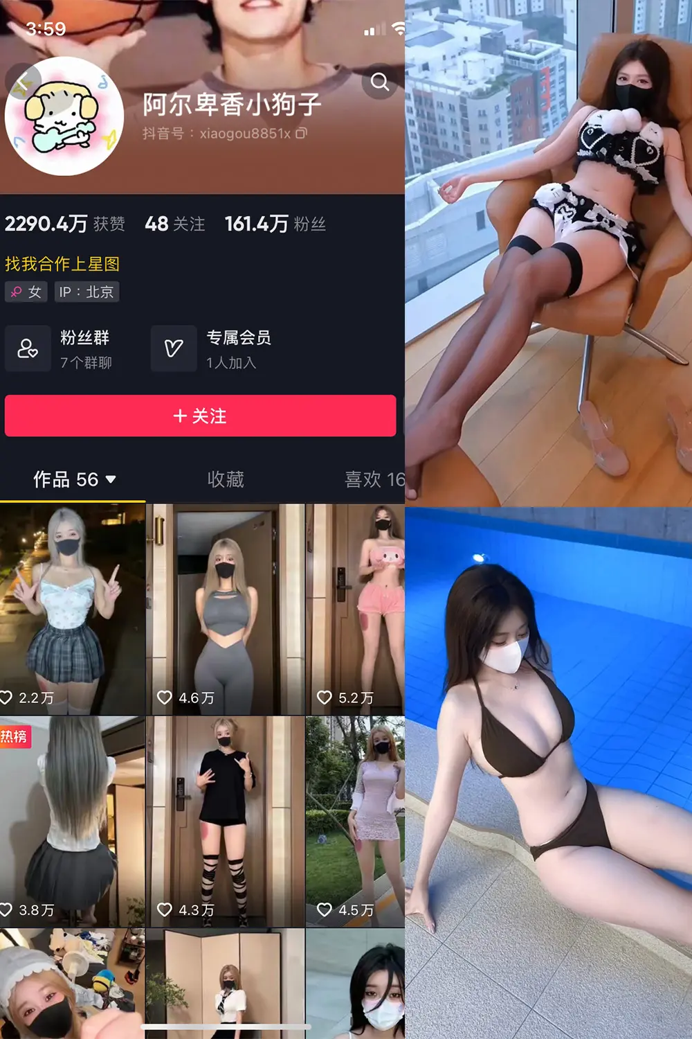 抖音 阿尔卑香小狗子 微密圈 | 觅圈 NO.062期 [8V]最新至：2025.5.22-微密部落