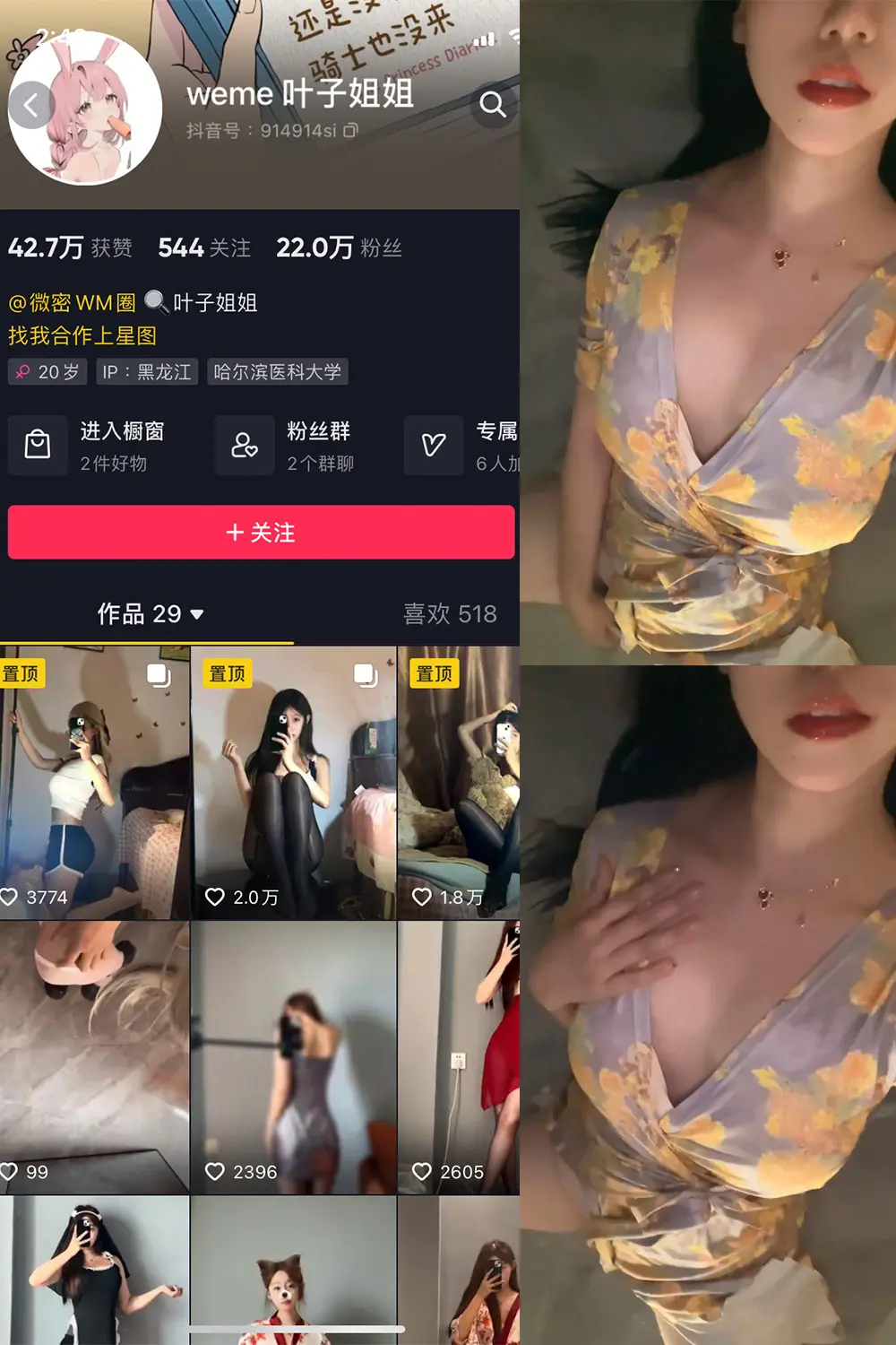 抖音 叶子姐姐 微密圈 NO.016期 [2V]最新至：2023.6.17-微密部落