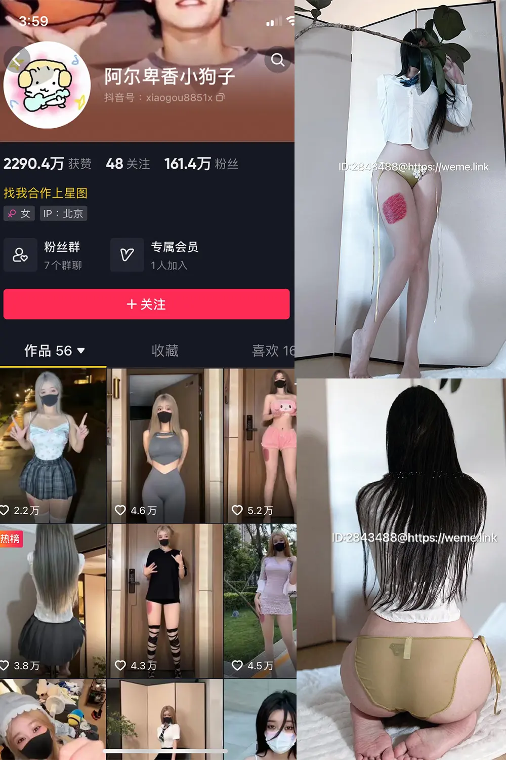 抖音 阿尔卑香小狗子 微密圈 NO.047期 [39P]最新至：2024.6.10-微密部落