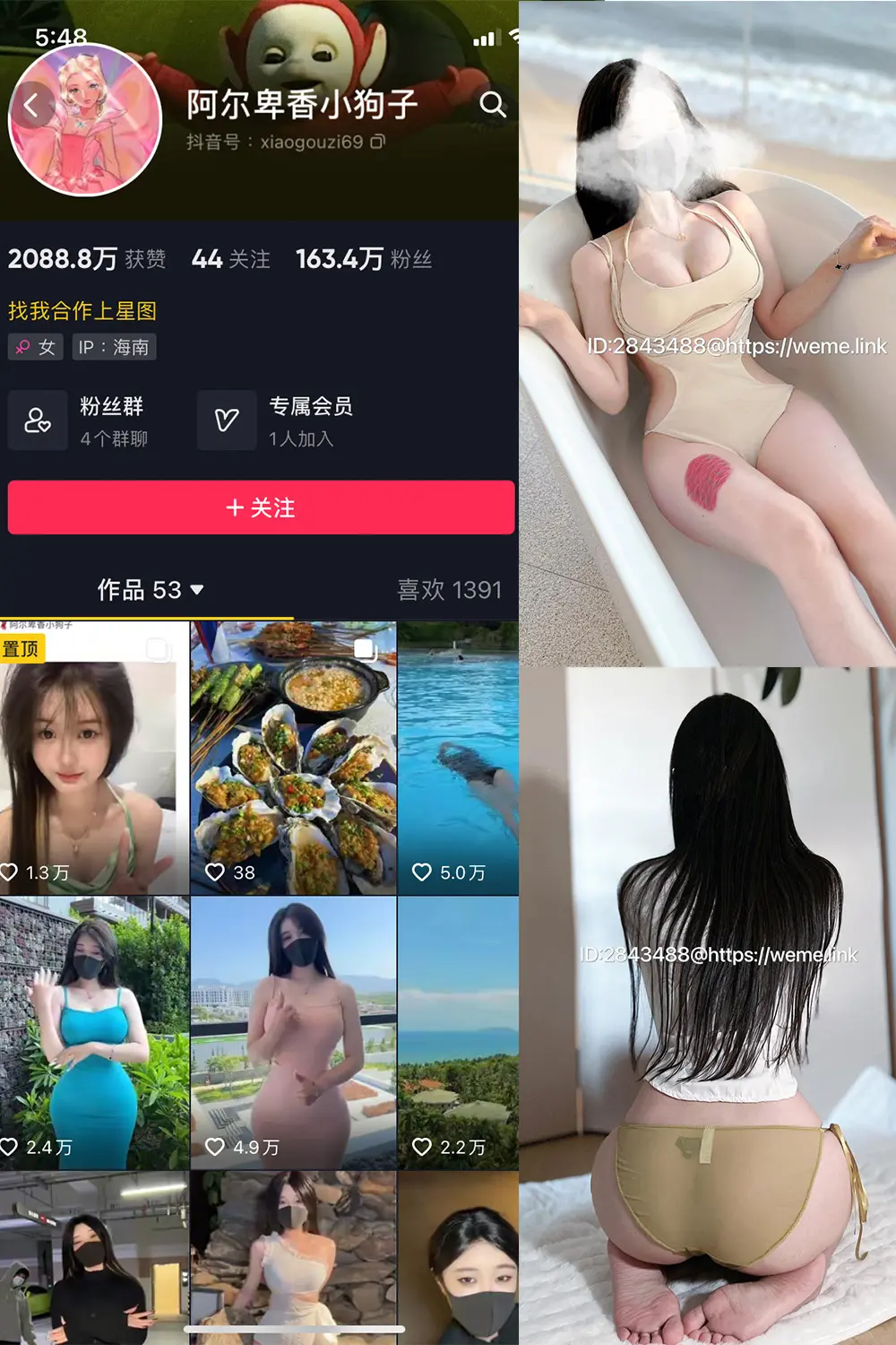 抖音 阿尔卑香小狗子 微密圈 NO.013期 [46P]最新至：2023.7.31-微密部落