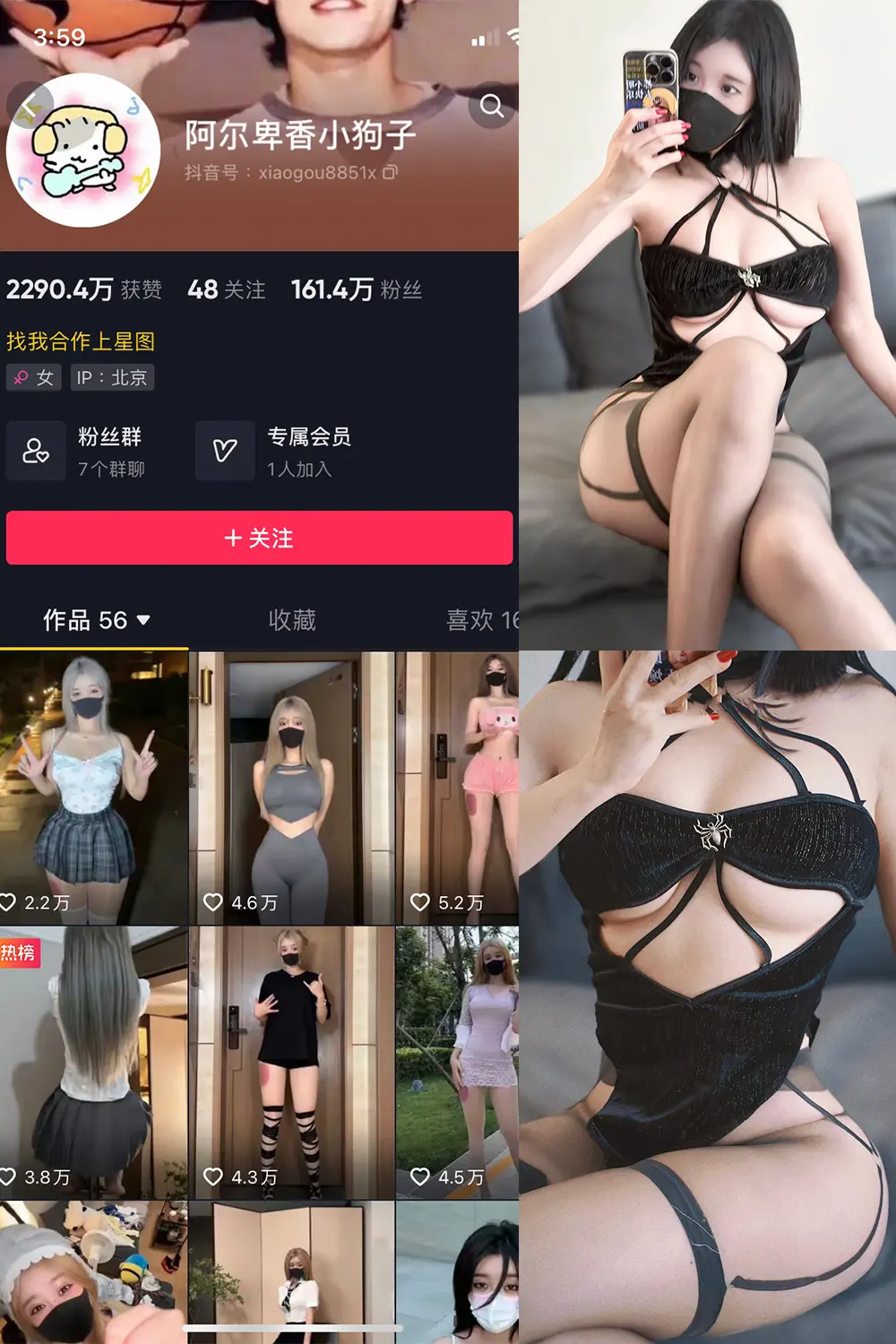 抖音 阿尔卑香小狗子 微密圈 NO.046期 [14P1V]最新至：2024.6.6-微密部落