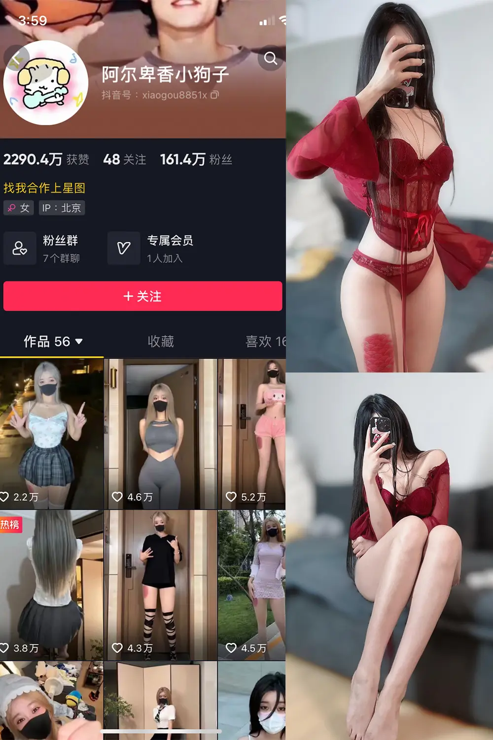 抖音 阿尔卑香小狗子 微密圈 NO.025期 [10P2V]最新至：2023.9.20-微密部落