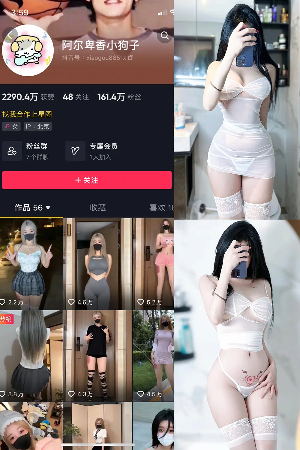 抖音 阿尔卑香小狗子 微密圈 NO.022期 [9P]最新至：2023.9.7-微密部落