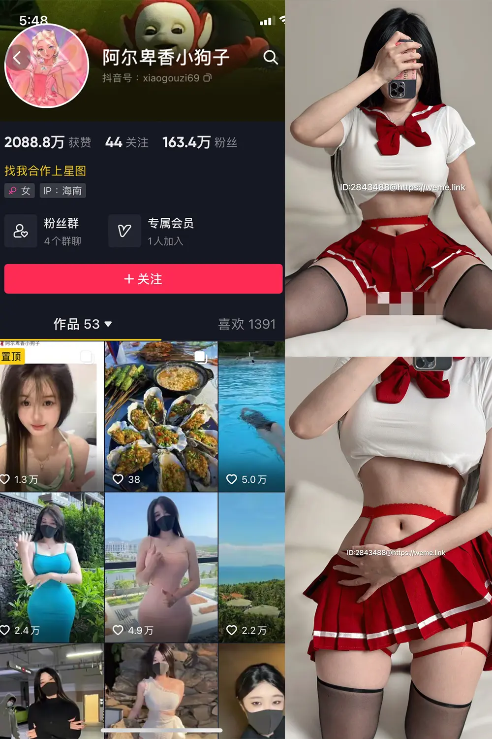 抖音 阿尔卑香小狗子 微密圈 NO.002期 [43P]-微密部落