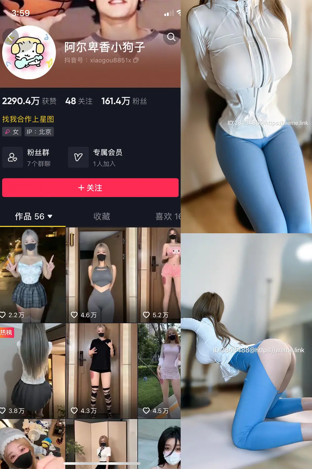 抖音 阿尔卑香小狗子 微密圈 NO.017期 [34P1V]-微密部落