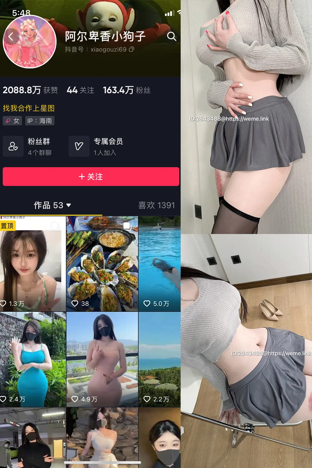 抖音 阿尔卑香小狗子 微密圈 NO.001期 [23P1V]-微密部落